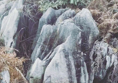 天然景觀(guān)石